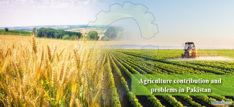 The agricultural sector of Pakistan is the backbone of our economy